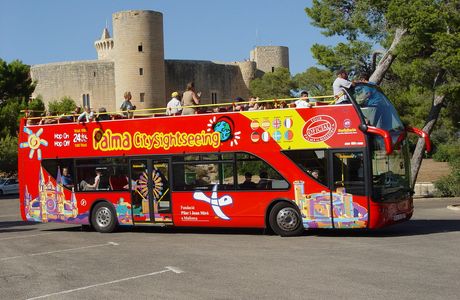Bus Mallorca