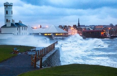 Arbroath Sea Safari