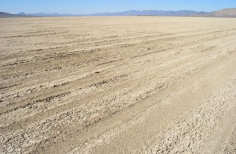 Black Rock Desert