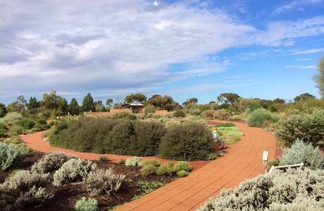 Australian Arid Lands Botanic Garden