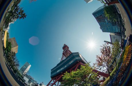 FishEye