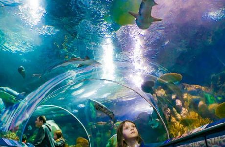 Shanghai Ocean Aquarium