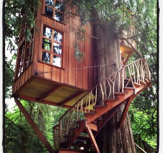 Tree House