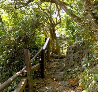 Caishan Natural Park