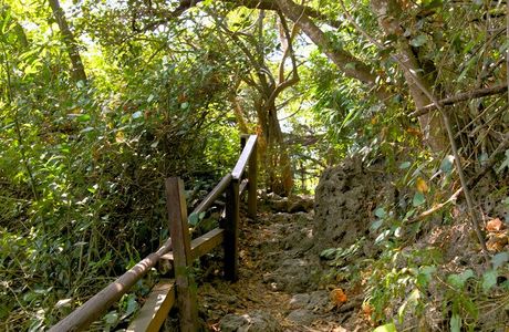 Caishan Natural Park