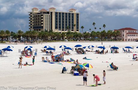 Clearwater Beach Paddleboard and Rental Co.