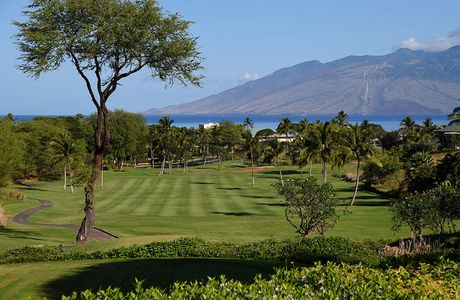 Wailea Old Blue Course