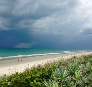 Canaveral National Seashore