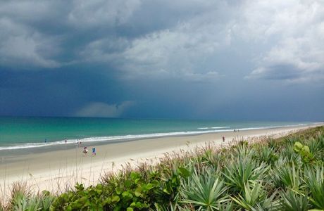Canaveral National Seashore