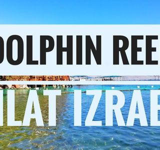 Dolphin Reef - Relaxation Pools