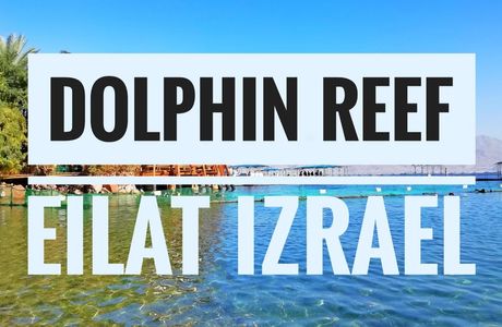 Dolphin Reef - Relaxation Pools