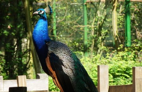 Zoo Schwerin