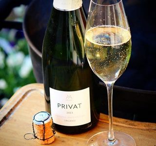 Cava Lounge