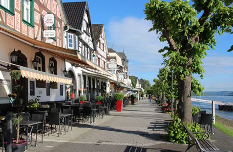 Waldlehrpfad Möenchsheide