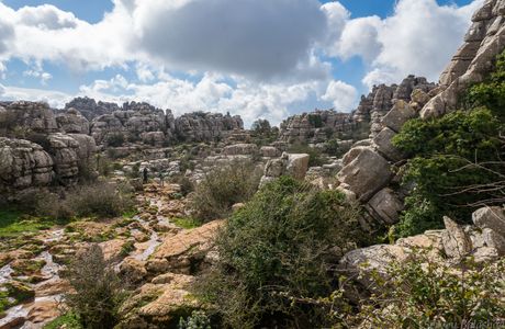 Royal Trail
