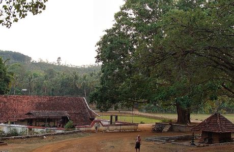 Parakkottu Kavu Temple