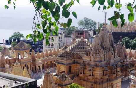 Shatrunjaya hill temple