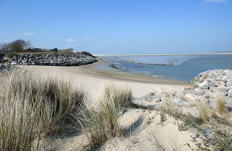 AXE SPORT SANTE - LE TOUQUET
