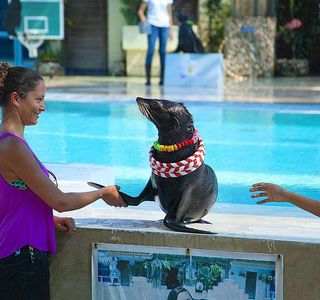 Samui Aquarium and Tiger Zoo
