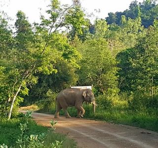 Kui Buri National Park