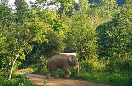 Kui Buri National Park