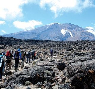 Kilimanjaro Friendship Trail