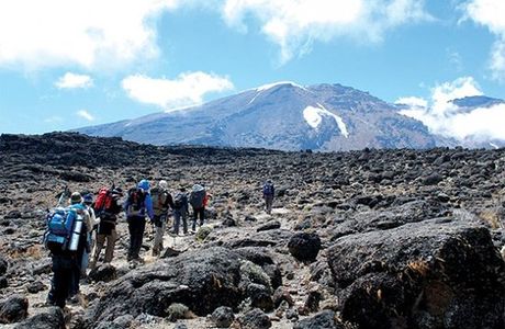 Kilimanjaro Friendship Trail