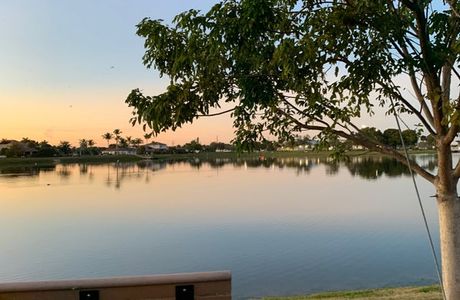 Canine Cove