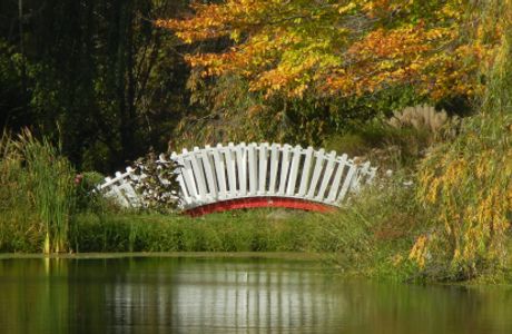 Friendship Botanic Gardens