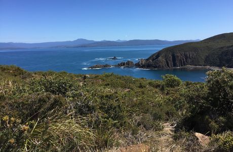 Wild Island Tasmania