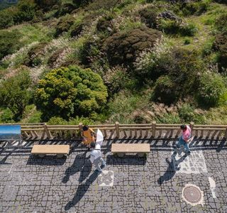 Mt. Tsurumi