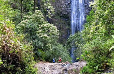Makaleha Falls Trail