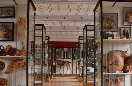 Musee Fragonard