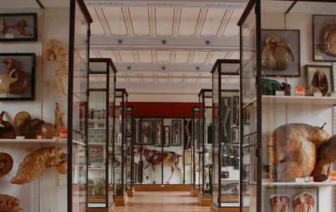 Musee Fragonard 1