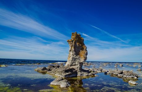 Gotlands Djurpark