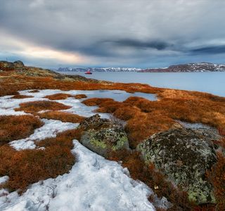 Tundra Park