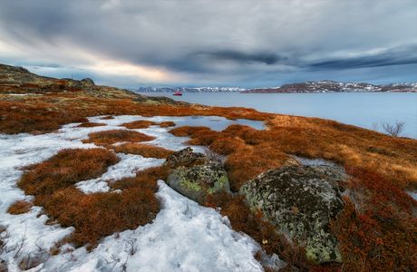 Tundra Park