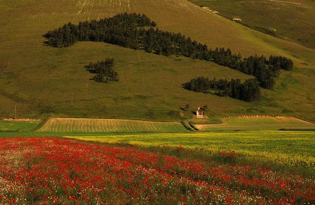 Grancia di Castelluccio