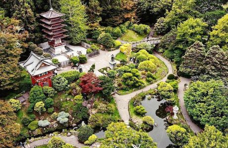 Taiji Tea Garden