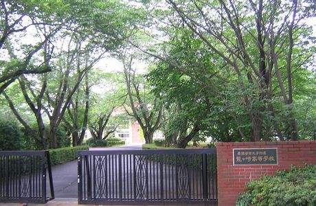 Ryugasaki Forest Park
