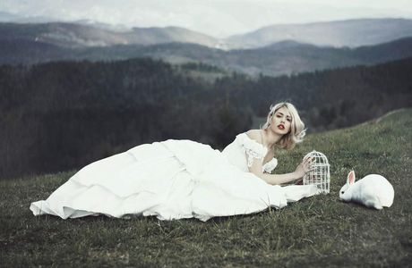 Dreams Beauty