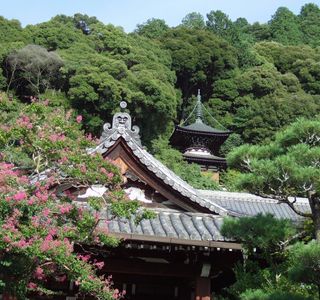 Zenrin-ji Temple