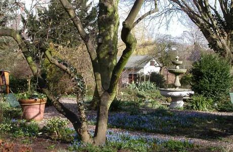 Botanische Tuin Afrikaanderwijk