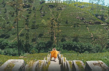 Explore Nuwara Eliya rent a bike