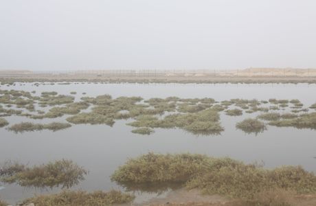 Purple Island - Al Khor Island