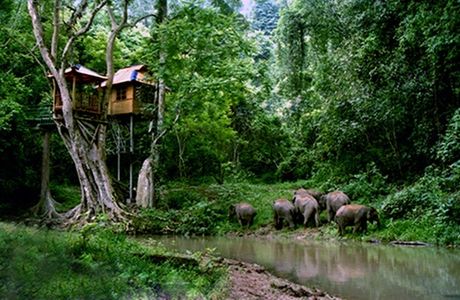 Mengyang Nature Reserve