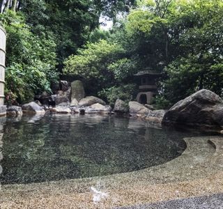 Tamatsukuri Onsen Yuyu