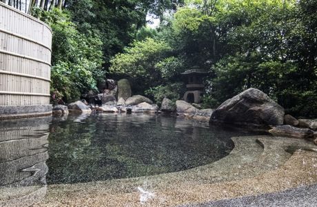 Tamatsukuri Onsen Yuyu
