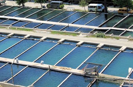 Dawen Aquaculture Leisure Area