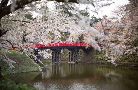 Gokurakuyu, Aomori